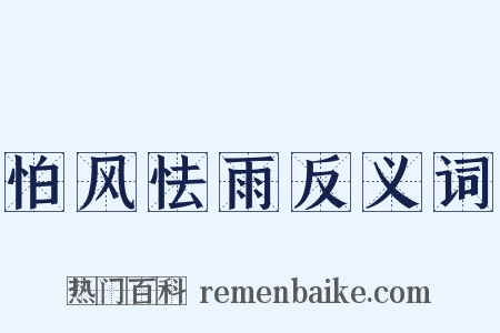 怕风怯雨反义词是什么意思的图片